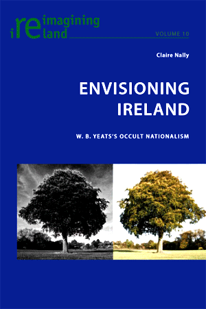 Envisioning Ireland book cover