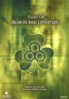 Modern Irish Literature book cover